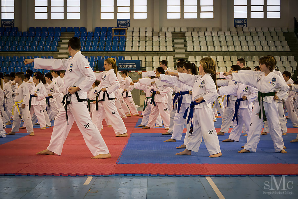 DIA DEL TAEKWONDO ABRIL 2017_3604.JPG